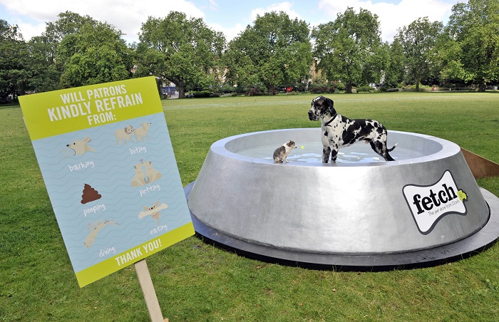 Fetch builds giant dog bowl to keep dogs hydrated in summer